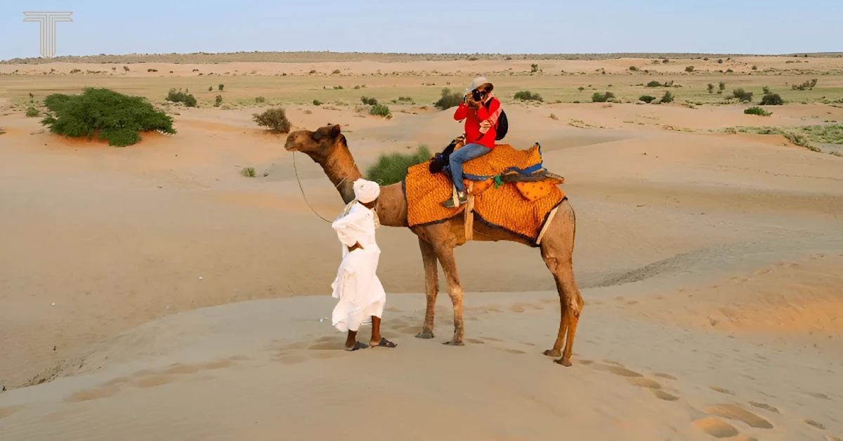 Guide-to-Royal-Desert-Safari-Jaisalmer-Tour-1